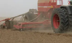 Siewnik HORSCH pracuje na polu. Rolnik zastanawia się, ile razy można siać pszenżyto po pszenżycie, by uzyskać dobry plon.