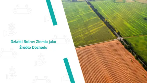 Widok z lotu ptaka na pola uprawne, zielone i zaorane, sugerujący, co opłaca się uprawiać na 1 ha.